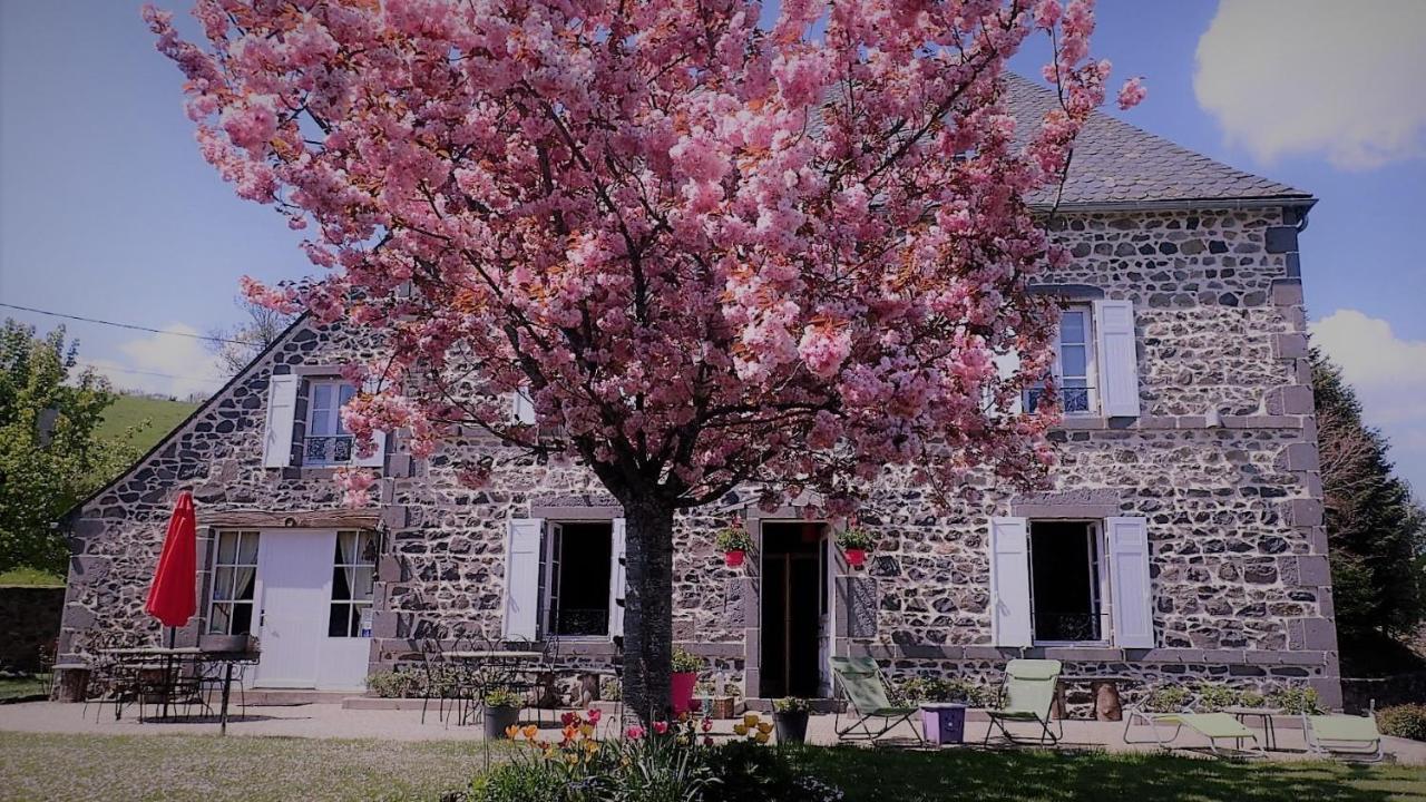 Maison D'Hotes La Nichee Rochefort-Montagne Eksteriør bilde